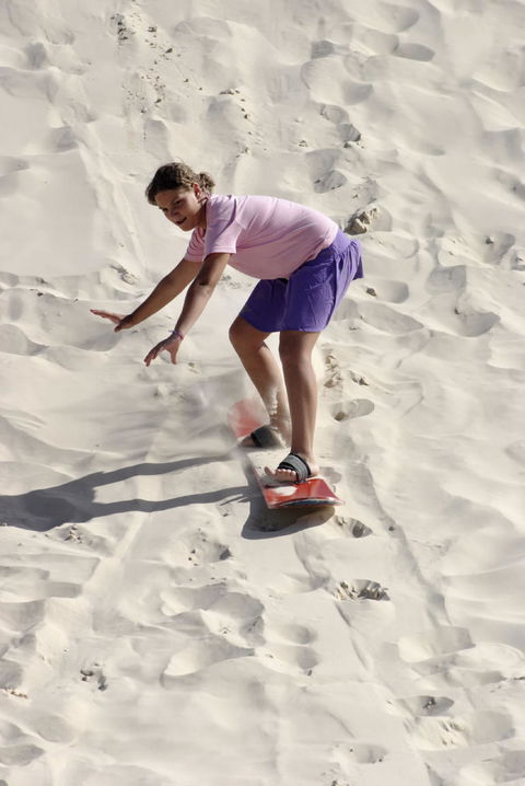Pinnacles Desert, Koalas And Sandboarding 4WD Day Tour From Perth - Accommodation Rockhampton 24