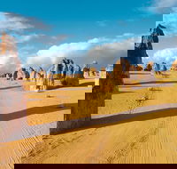 Pinnacles Desert Koalas and Sandboarding 4WD Day Tour from Perth - Accommodation Rockhampton
