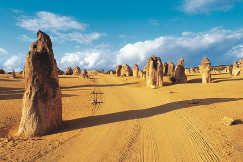 Pinnacles Desert, Koalas And Sandboarding 4WD Day Tour From Perth - Accommodation Rockhampton 0