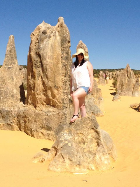 Pinnacles Desert, Koalas And Sandboarding 4WD Day Tour From Perth - Accommodation Rockhampton 16