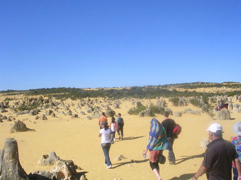 Pinnacles Desert, Koalas And Sandboarding 4WD Day Tour From Perth - Accommodation Rockhampton 25