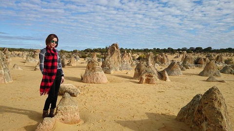 Pinnacles Desert, Koalas And Sandboarding 4WD Day Tour From Perth - Accommodation Rockhampton 13