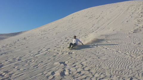 Pinnacles Desert, Koalas And Sandboarding 4WD Day Tour From Perth - Accommodation Rockhampton 14