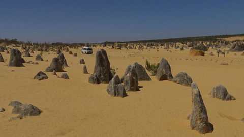 Pinnacles Desert, Koalas And Sandboarding 4WD Day Tour From Perth - Accommodation Rockhampton 4
