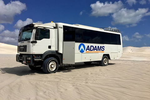Pinnacles Desert, Koalas And Sandboarding 4WD Day Tour From Perth - Accommodation Rockhampton 28