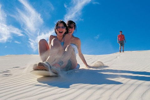 Pinnacles Desert, Koalas And Sandboarding 4WD Day Tour From Perth - Accommodation Rockhampton 30