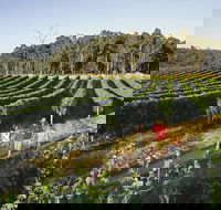 Margaret River Caves Wine and Cape Leeuwin Lighthouse Tour from Perth - Accommodation Rockhampton