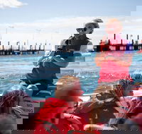 Rottnest Island Tour from Perth or Fremantle including Adventure Speed Boat Ride - Accommodation Rockhampton