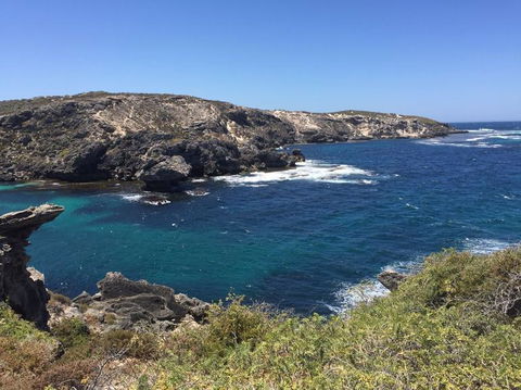 Rottnest Island Tour From Perth Or Fremantle Including Bus Tour - Accommodation Rockhampton 3