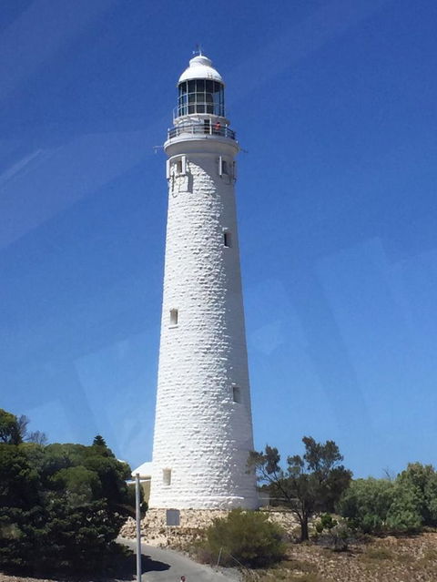 Rottnest Island Tour From Perth Or Fremantle Including Bus Tour - Accommodation Rockhampton 2