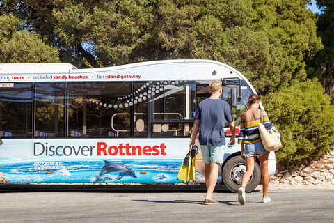 Rottnest Island Tour From Perth Or Fremantle Including Bus Tour - Accommodation Rockhampton 0