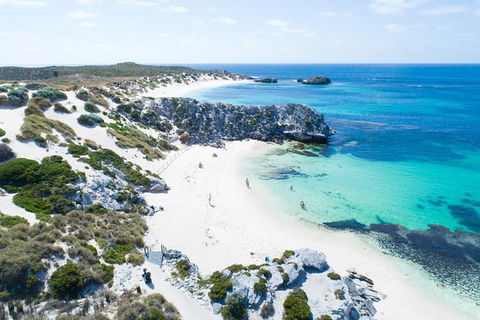 Rottnest Island Tour From Perth Or Fremantle Including Bus Tour - Accommodation Rockhampton 1