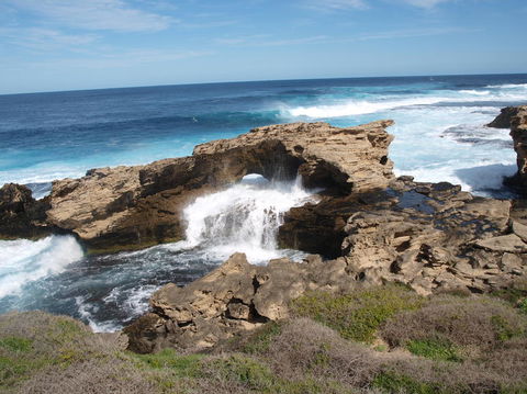 Rottnest Island Tour From Perth Or Fremantle Including Bus Tour - Accommodation Rockhampton 5