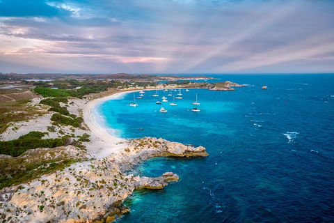 Rottnest Island Tour From Perth Or Fremantle Including Bus Tour - Accommodation Rockhampton 8