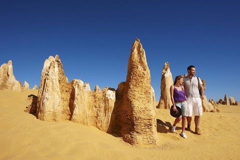 Pinnacles Day Trip From Perth Including Yanchep National Park - Accommodation Rockhampton 1