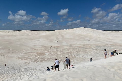 Pinnacles Day Trip From Perth Including Yanchep National Park - Accommodation Rockhampton 3