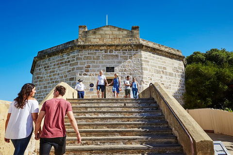 Full-Day Penguin Island & Fremantle Town - Accommodation Rockhampton 4