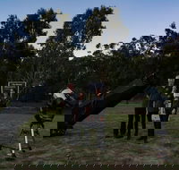 Stargazing Busselton with Mobile Observatory - Accommodation Rockhampton