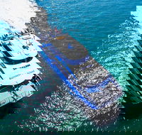 Rottnest Island Roundtrip Ferry from Perth with Transfer - Accommodation Rockhampton
