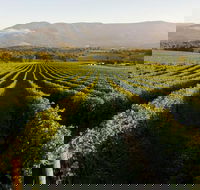 Half-Day Swan Valley Walk  Fruit Orchard - Accommodation Rockhampton