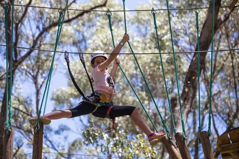 Busselton High Ropes And Zipline Adventure - Accommodation Rockhampton 1