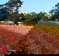 Swan Valley Wine Time Private Day Tour - Accommodation Rockhampton