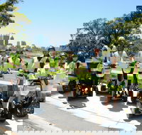 Kings Park Segway Tour - Accommodation Rockhampton