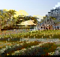 Margaret River and Geographe Bay Region Day Trip from Perth - Accommodation Rockhampton