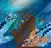 Rottnest Island Tandem Skydive - Accommodation Rockhampton