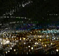 National Anzac Centre Field of Light Panorama Pass - Accommodation Rockhampton