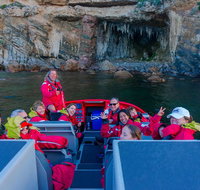 Dunsborough Jet Boat Sea Safari Along Cape Naturaliste Coast - Accommodation Rockhampton