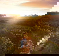 Leeuwin Estate Food and Wine Experience - Accommodation Rockhampton