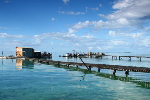 Full Day Guided Abrolhos Fly And Flipper Tour From Geraldton - Accommodation Rockhampton 0