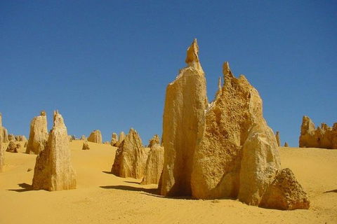 Half Day Pinnacles Sunset Tour - Accommodation Rockhampton 5