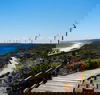 Torndirrup National Park and Bay Highlights - Accommodation Rockhampton