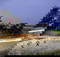 1 Day Private Phillip Island Tour VIP Charter up to 9 People - Accommodation Rockhampton