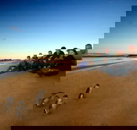 Phillip Island Ultimate Penguin Eco Tour or Skybox Experience - Accommodation Rockhampton