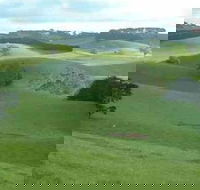 Day Tour of Phillip Island  Surrounding Region - Accommodation Rockhampton