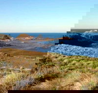 Phillip Island Walking  Bird Watching Tour - Accommodation Rockhampton