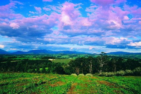 CHEVY CONVERTIBLE Package For 2 People- Wine Lunch Cheese & Chocolate From Melb. - Accommodation Rockhampton 7