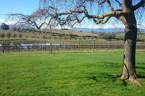 CHEVY CONVERTIBLE Package For 2 People- Wine Lunch Cheese & Chocolate From Melb. - Accommodation Rockhampton 4