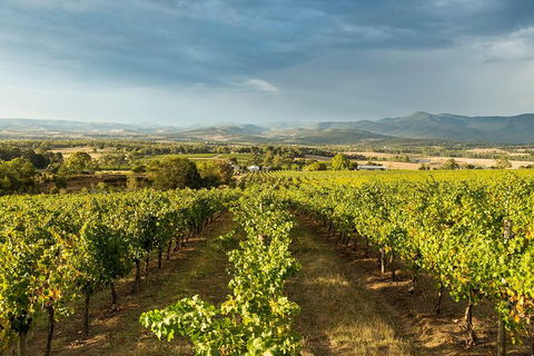 Yarra Valley Local Produce And Wine Tasting Tour - Accommodation Rockhampton 4