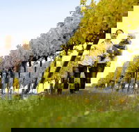 Overnight Daylesford and Macedon Ranges Gourmet Food Trail Tour from Melbourne - Accommodation Rockhampton