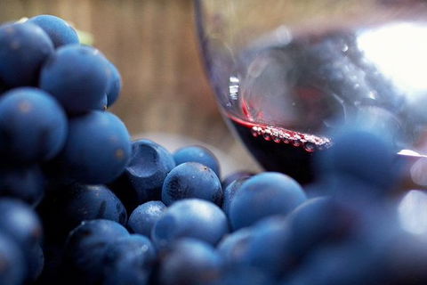 Small Group 6 Guests: Ultimate Yarra Valley Food And Wine - Mercedes Van - Accommodation Rockhampton 4