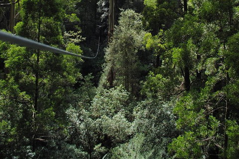 Adventure Sunset Three Day Great Ocean Road Tour - Accommodation Rockhampton 7