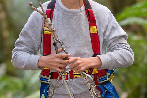 Adventure Sunset Three Day Great Ocean Road Tour - Accommodation Rockhampton 18