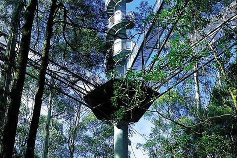 Adventure Sunset Three Day Great Ocean Road Tour - Accommodation Rockhampton 19