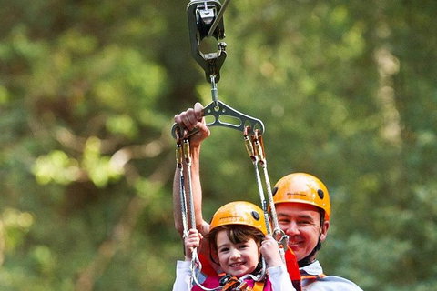 Adventure Sunset Three Day Great Ocean Road Tour - Accommodation Rockhampton 28