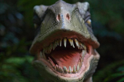 Adventure Sunset Three Day Great Ocean Road Tour - Accommodation Rockhampton 16