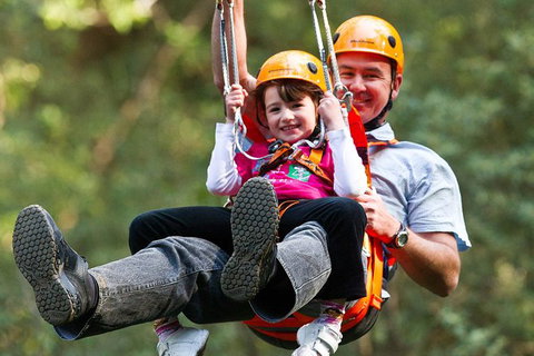 Adventure Sunset Three Day Great Ocean Road Tour - Accommodation Rockhampton 9